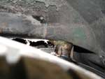 View from the rear wheel-well showing where we welded the rear hoop to the frame