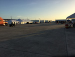Early morning in the paddock